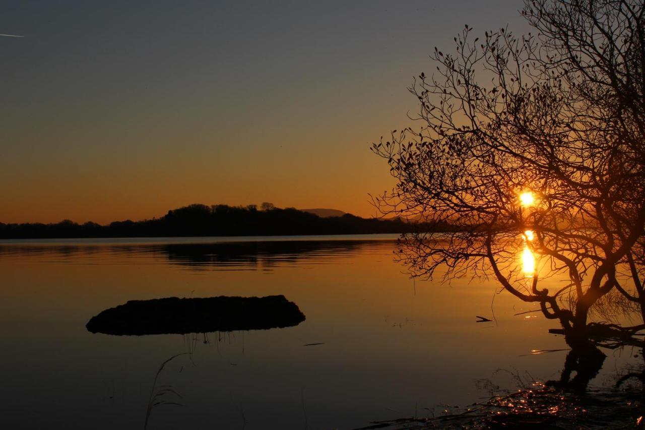 Reed Warbler Cottage Ballinrobe Exterior foto